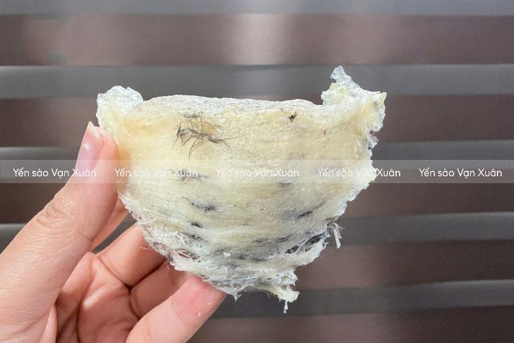 Mặt yến các sợi đan xen lẫn lông và tạp chất