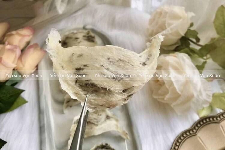 Yến thô tổ góc là gì? Có tốt không? Có nên mua không?