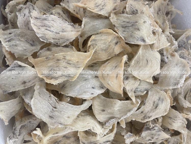 Yến thô tổ góc là gì? Có tốt không? Có nên mua không? 11 yen-tho-to-goc-03