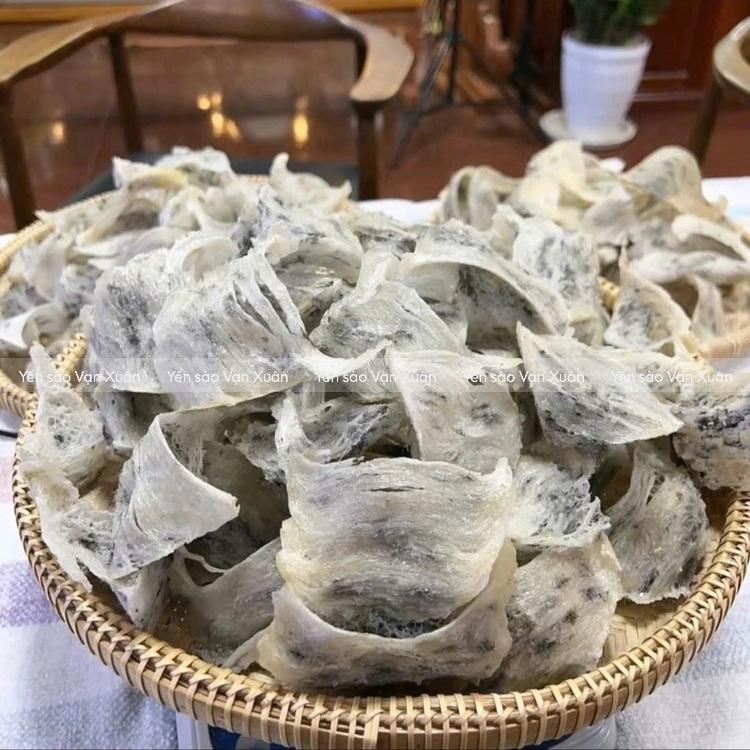 Yến thô tổ góc là gì? Có tốt không? Có nên mua không? 12 yen-tho-to-goc-05