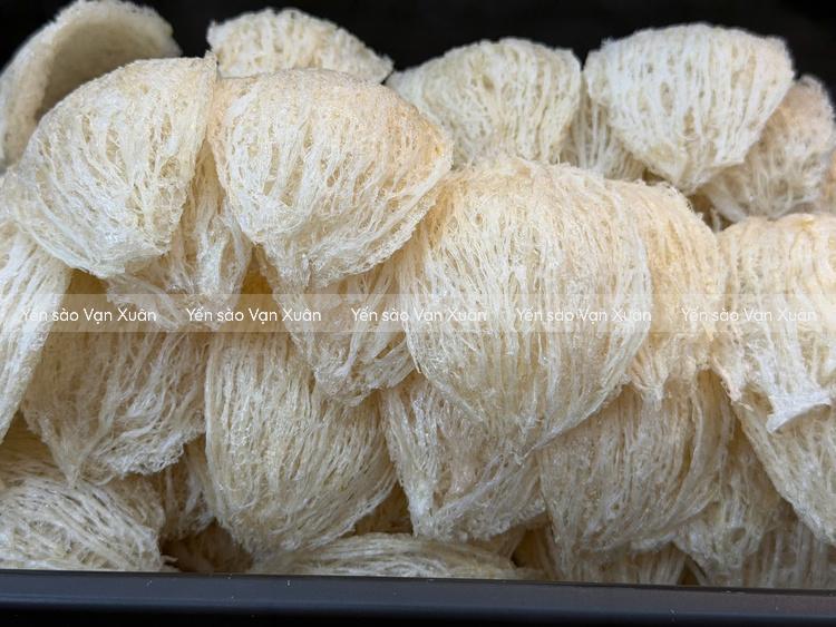 Người suy thận vẫn ăn được tổ yến tuỳ tình trạng bệnh
