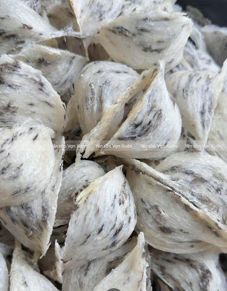 Nên chọn tổ yến thô cho người suy thận nếu có thời gian sơ chế