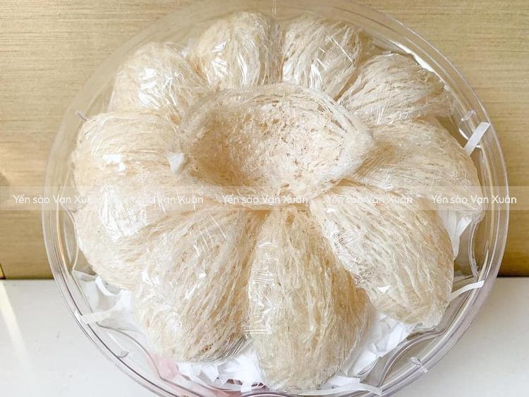 Ung thư máu ăn yến được không? Lợi ích và lưu ý quan trọng 15 Sử dụng yến sào cho người ung thư máu rất tốt nhưng cần tìm nguồn yến uy tín, chất lượng
