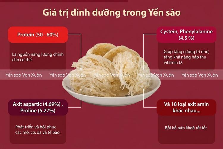 Ung thư máu ăn yến được không? Lợi ích và lưu ý quan trọng 11 Yến sào chứa nhiều chất dinh dưỡng quý tốt cho sức khoẻ người bị ung thư máu