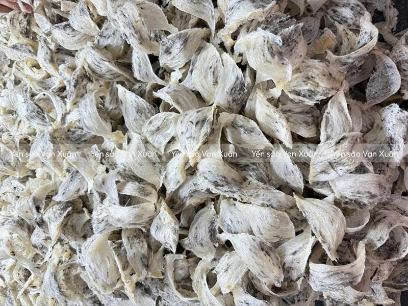 Độ ẩm tiêu chuẩn của tổ yến thô là bao nhiêu? Cách nhận biết yến đạt chuẩn 9 Gọi là tổ yến khô nhưng không phải độ ẩm đạt 0%