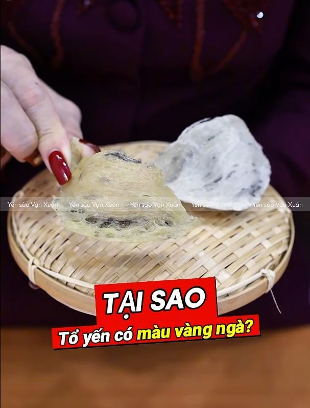Tổ yến thô màu vàng: Nguyên nhân do đâu, có ăn được không? 10 to-yen-tho-mau-vang-02