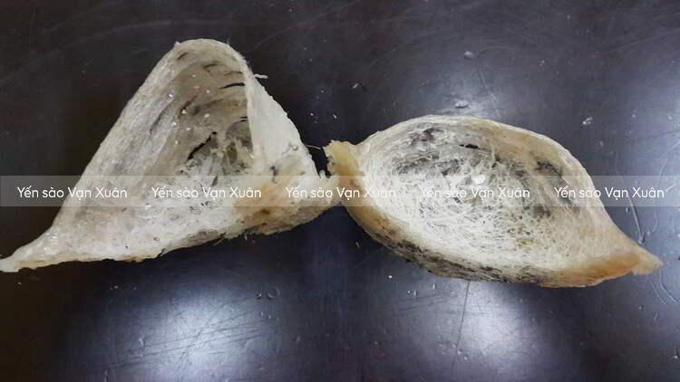 Tổ yến thô màu vàng: Nguyên nhân do đâu, có ăn được không? 11 Nhiễm khuẩn và nấm mốc cũng là nguyên nhân phổ biến khiến tổ yến thô chuyển sang màu vàng