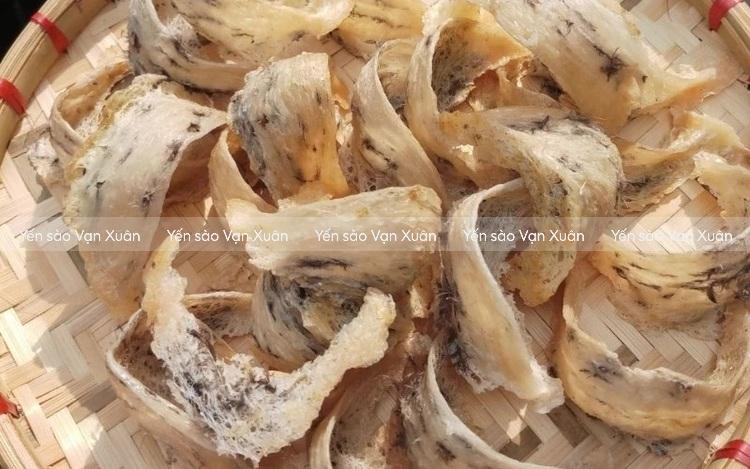 Tổ yến thô màu vàng: Nguyên nhân do đâu, có ăn được không? 14 Tổ yến thô vàng tự nhiên