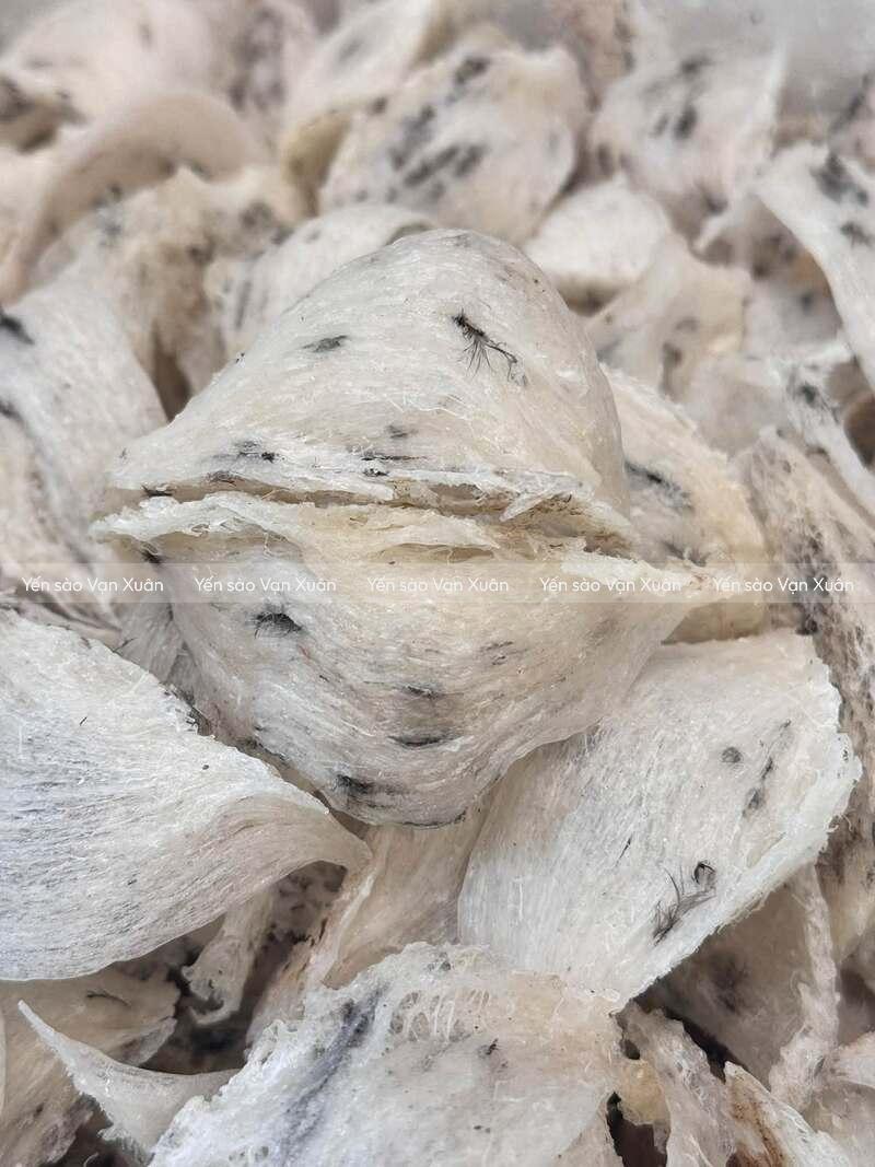 Tổ yến thô chưa làm sạch lông nên sẽ mất thêm thời gian sơ chế yến